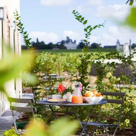 La Maison Des Vignes - Domaine De La Soucherie *