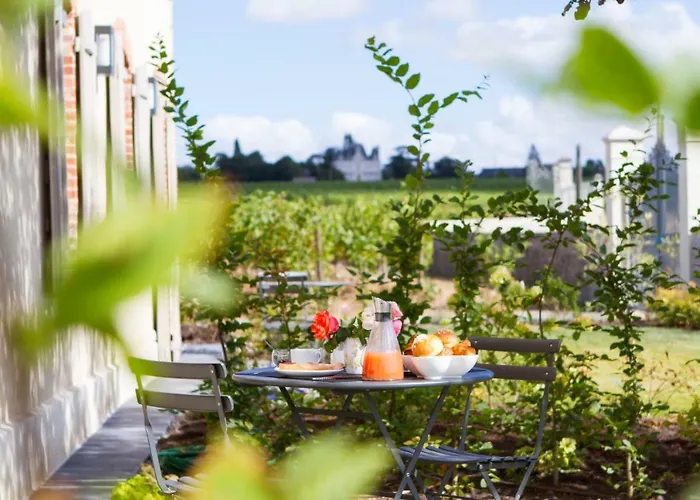 La Maison Des Vignes - Domaine De La Soucherie *