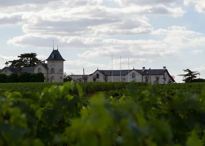 La Maison Des Vignes - Domaine De La Soucherie * Beaulieu-sur-Layon